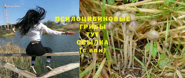 ALPHA PVP Горняк